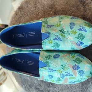 Tom's whale shark canvas shoes